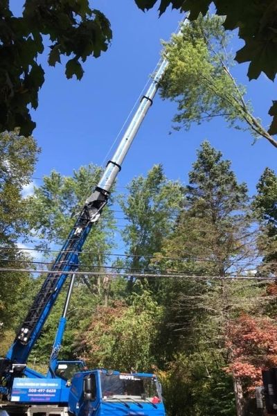 The American Climbers team uses a crane to remove a section from a tree in a residential area, lifting the section above power lines.