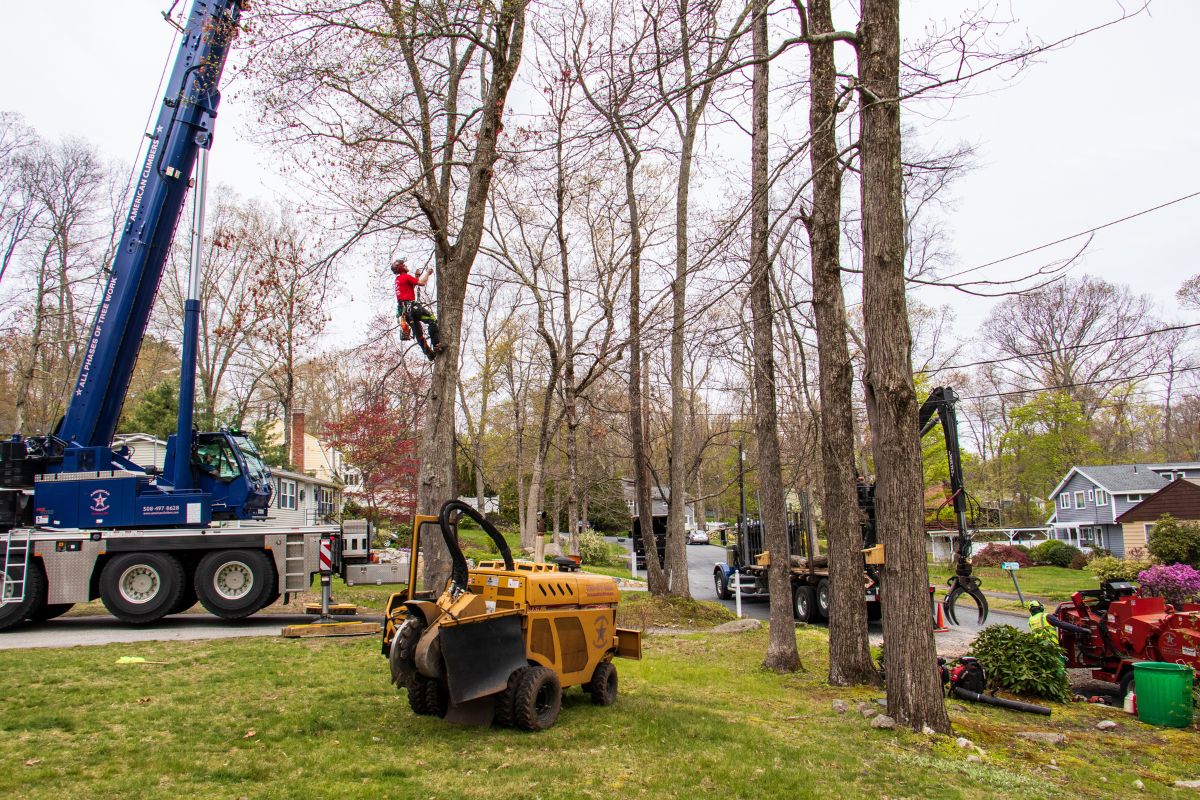 AC-Local-Pages-Middle-Milford