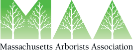 Massachusetts Arborists Association Logo