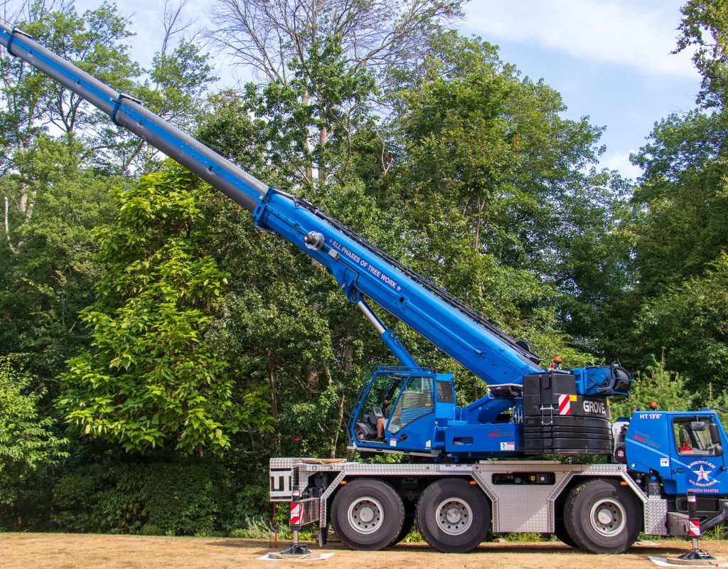An American Climbers blue tree crane with the boom (arm) extended.
