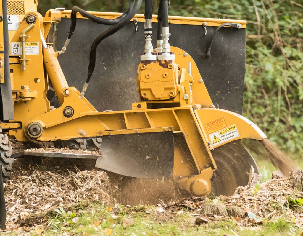 A large yellow American Climbers stump grinder works to turn a stump into sawdust and woodchips. This customer chose stump grinding versus stump removal.