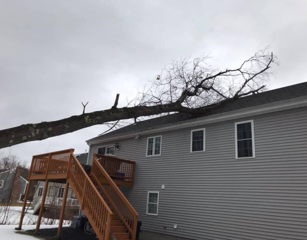A large, fallen tree lays on the roof of a gray house with a brown wooden staircase up to the deck on a cloudy day.
