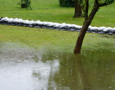 Saturated soil with standing water resting on top of it.