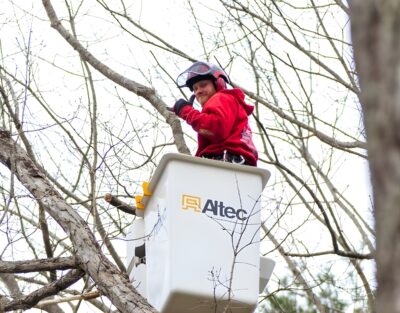 A tree pruning professional in red safety gear is using a bucket truck to trim tree branches safely at the proper height.