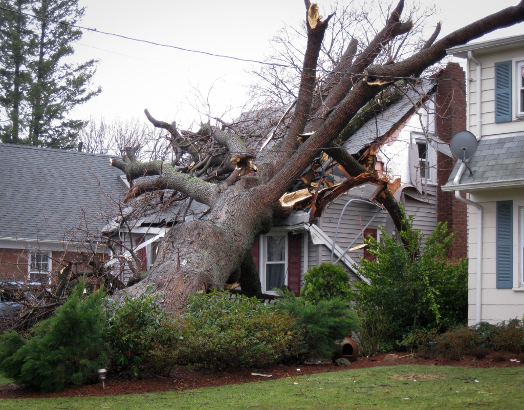 A tree that has fallen on a house after a storm in Marlborough, MA.