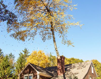 The American Climbers crane removing a large, dangerous tree from a MetroWest yard before winter arrives.