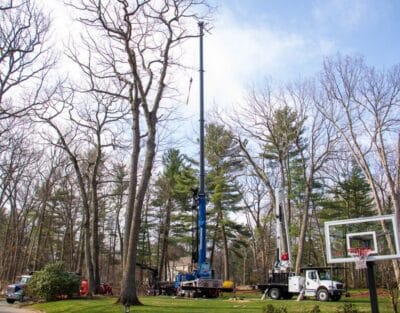 A crane and bucket truck set up in a metrowest backyard for a large tree removal job.