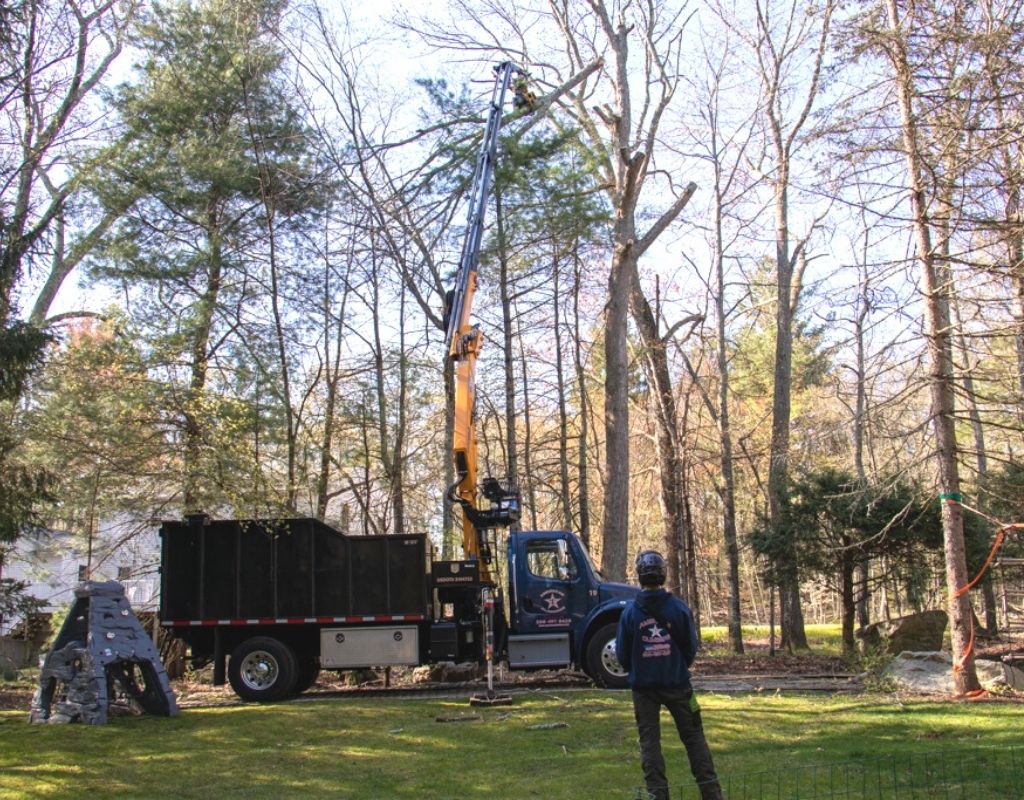 The American Climbers team removes a tree from a residential property in Massachusetts.