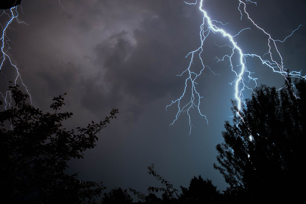 Lightning strikes behind a tree on a stormy night in westborough, ma.