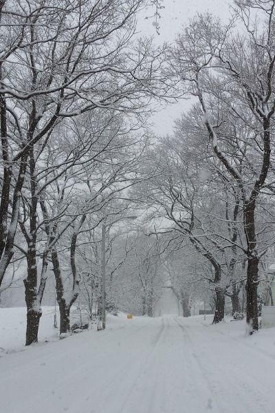 A Massachusetts neighborhood after a snowfall