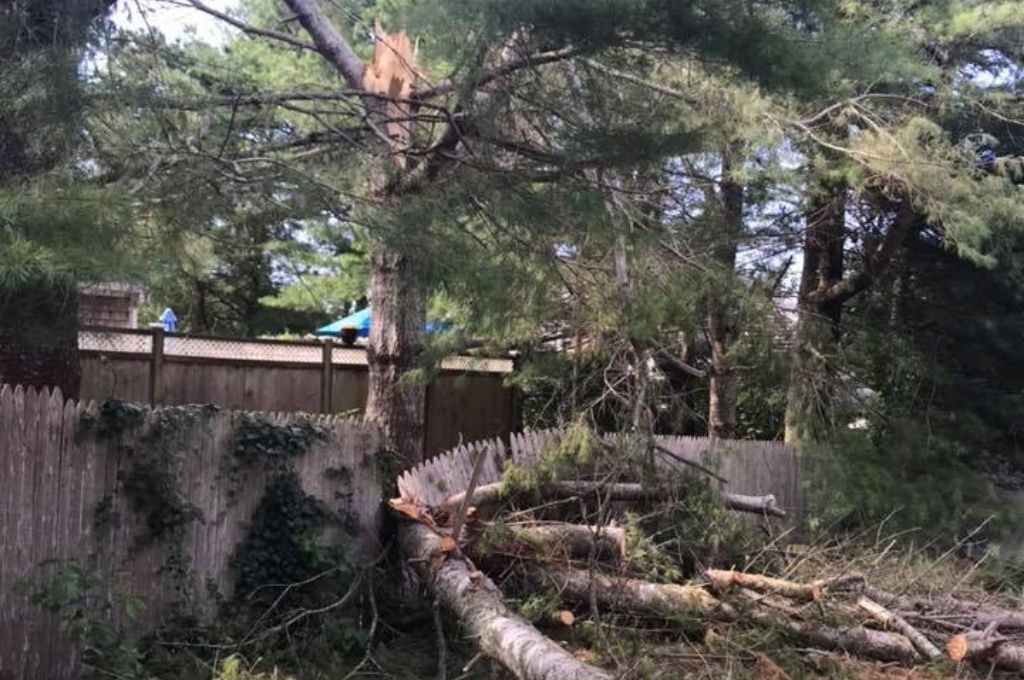 A storm-damaged tree with sections that have fallen and broken a backyard fence.