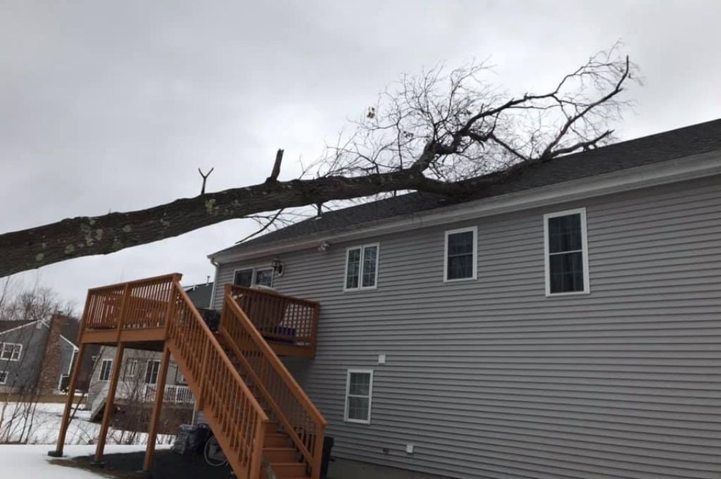 A tree that has fallen on a home's roof during a winter storm in Massachusetts.