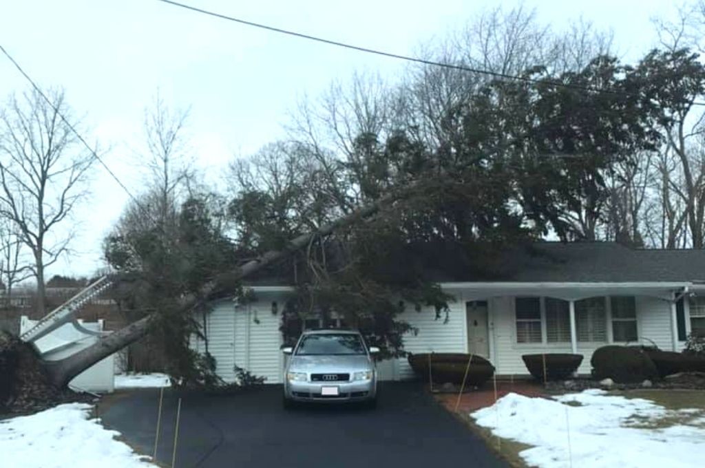 An uprooted tree has fallen on a Massachusetts home after a winter storm.
