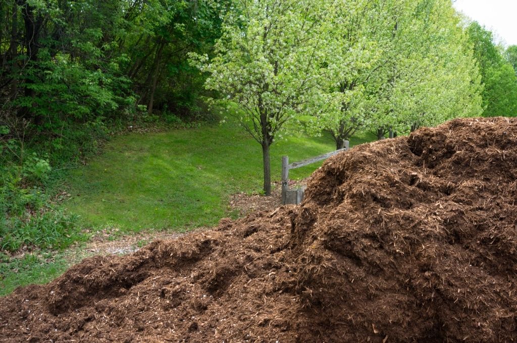 A large pile of wood mulch in front of green grass and trees.