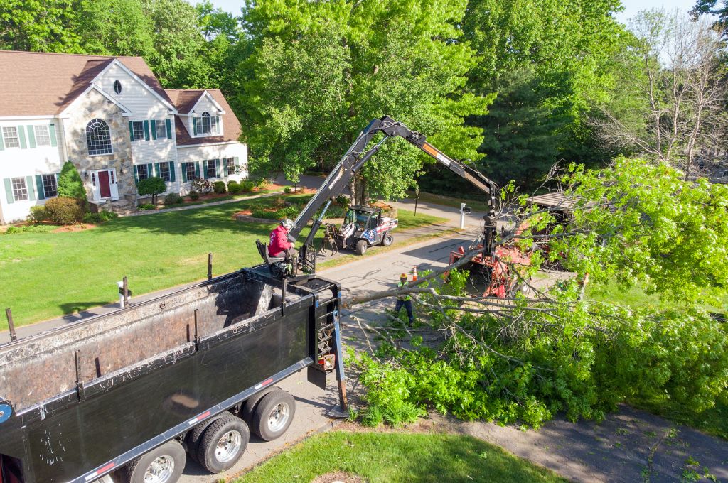 The American Climbers ground crew works to cut up and remove a large section of a tree from a residential area in Massachusetts.