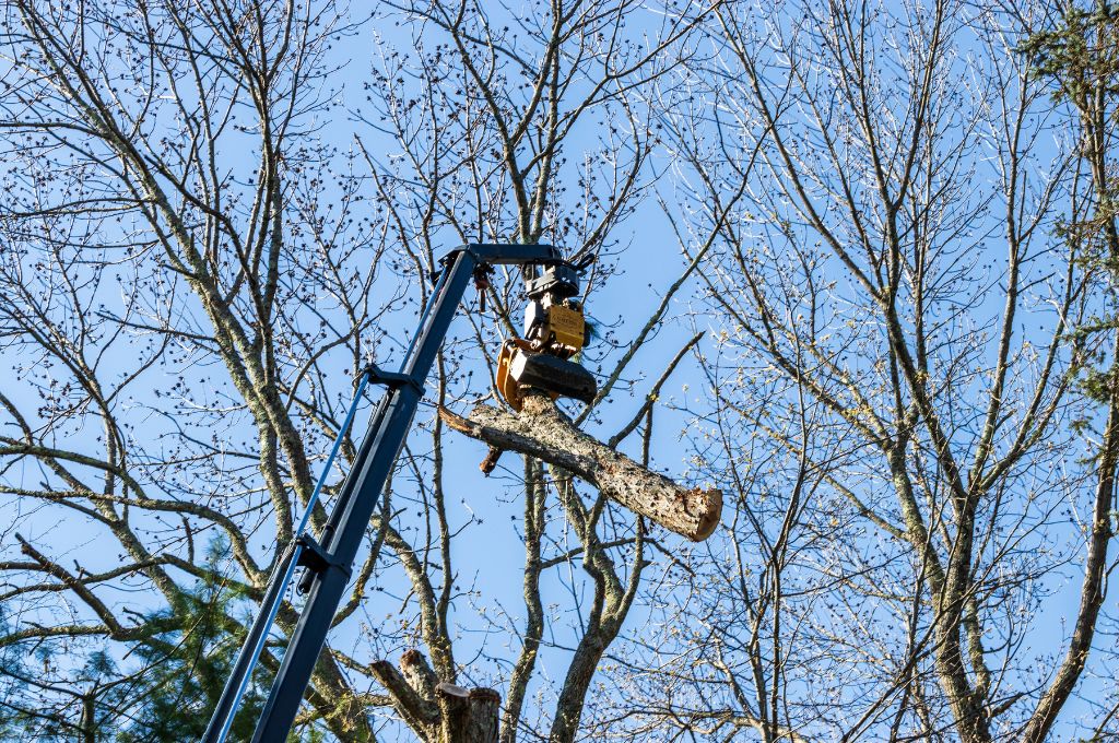 An American Climbers crane uses a grapple saw to remove a section of a tree from a Massachusetts property.