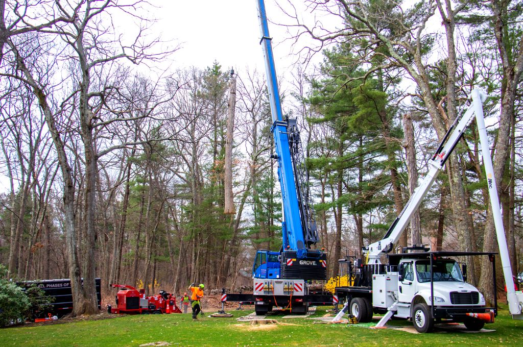 American Climbers equipment and crew working to remove trees from a Massachusetts property.