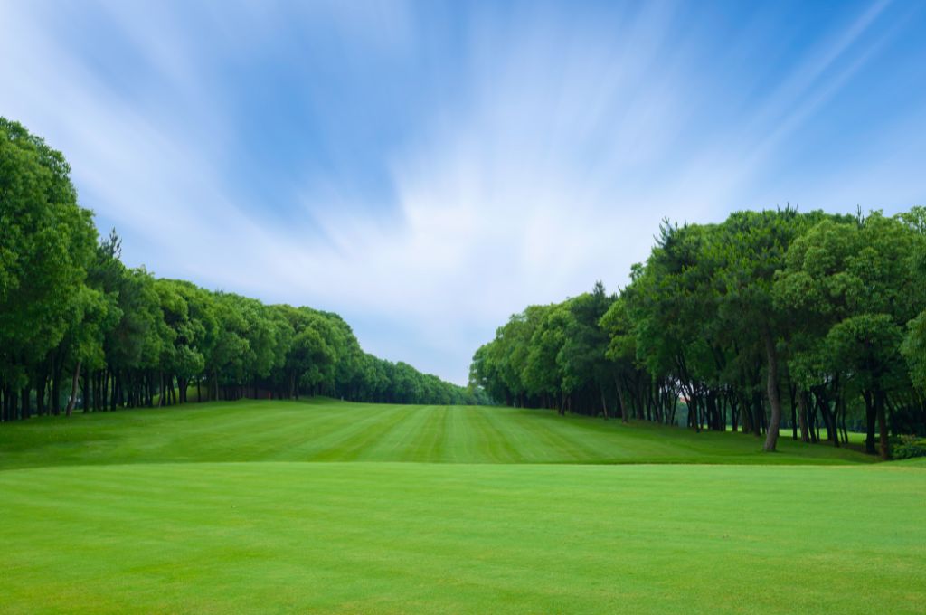 Trees line the fairway of a golf course, defining the space and adding privacy.