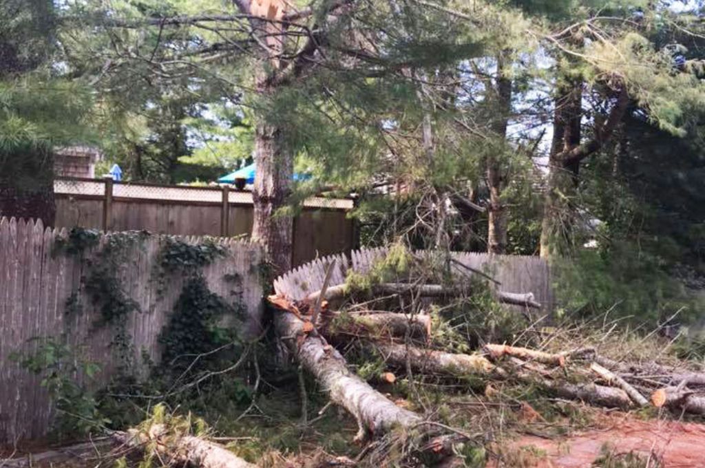 a photo os a property with fallen trees after a storm ready to be removed by the AC tree crew.