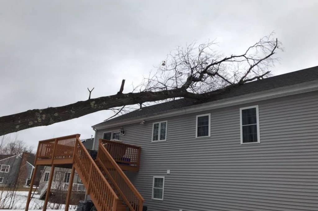 A fallen tree leans on a grey house against a grey, cloudy sky. An example of dead tree removal danger.