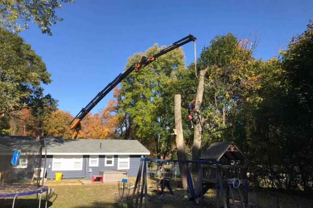 A black knuckle boom arm reaches over a gray house into the backyard, where it is secured to a section of tree to lift it back over the home and safely away from the adjacent children's swing set. 