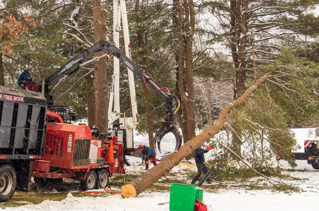 A tree removal crew using grapple claw equipment to process logs in a snow-covered yard.
