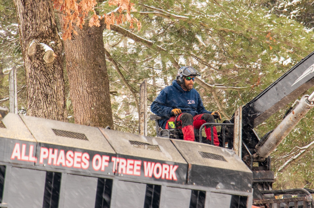 Your Tree Emergency Action Plan When Winter Storms Hit the MetroWest An american climbers professional operating a grapple for safe tree removal during winter storm response in metrowest.