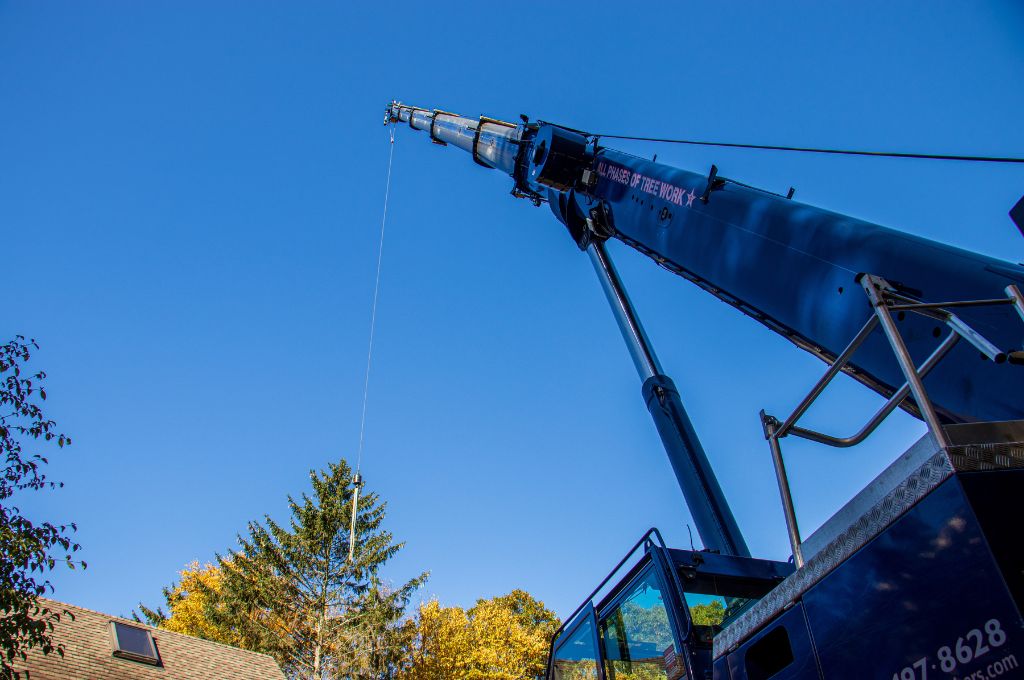 The american climbers crane lifting a tree over a house in holliston, ma