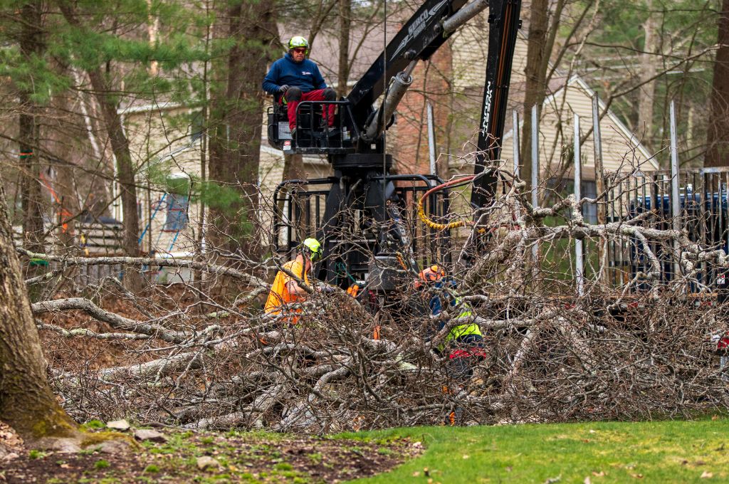 The american climbers team cleaning up branches after a storm in wayland, ma.