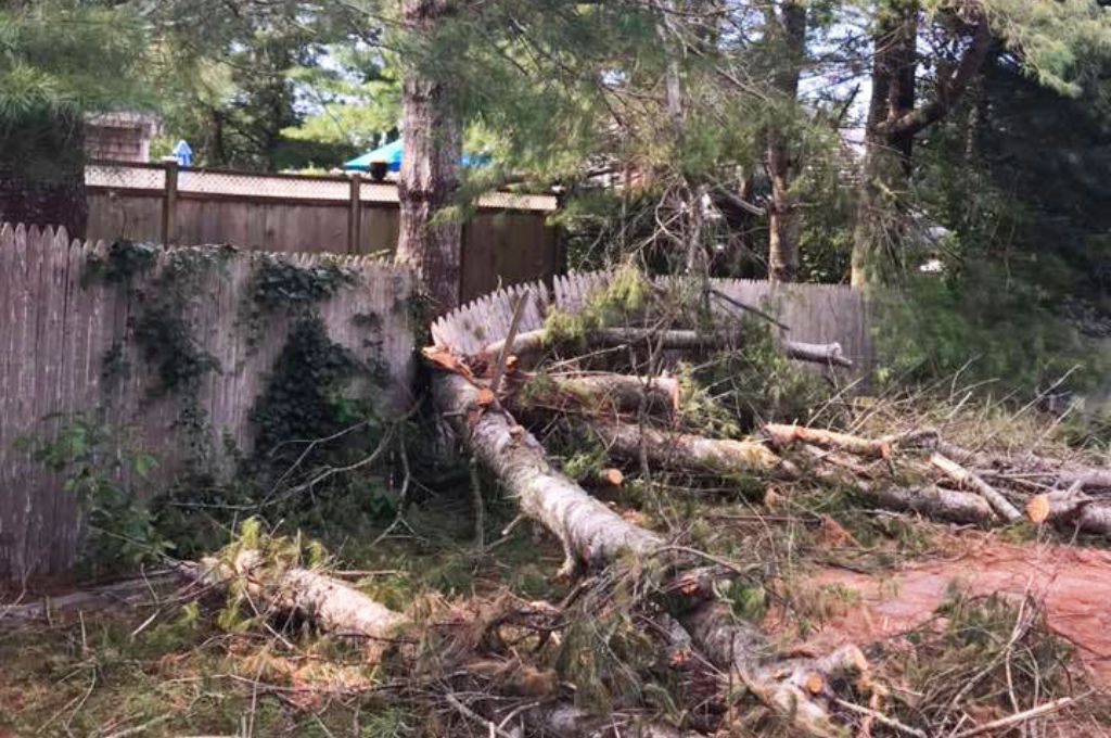 A storm-damaged tree that destroyed a fence in sudbury, ma.