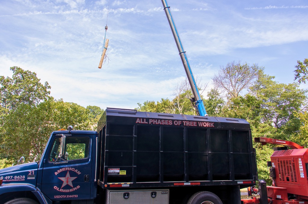 The american climbers crane lifting a piece of a dead tree during tree removal in framingham, ma.
