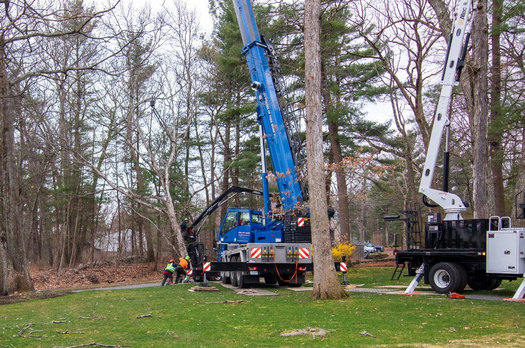 The american climbers crane and equipment positioned in a wooded metrowest neighborhood, showing space and access requirements for safe tree removal operations.