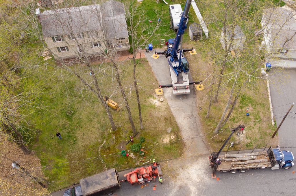 An aerial view of american climbers crane operation in metrowest residential neighborhood showing the complex equipment coordination required for safe tree removal.