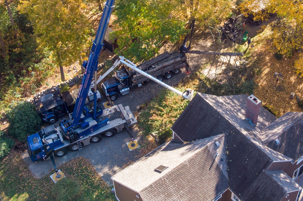 Will a Crane Damage My Property? MetroWest Homeowner's Guide to Crane-Assisted Tree Removal American climbers crane positioned on driveway with yellow outrigger pads protecting lawn and ground surfaces during residential tree removal.