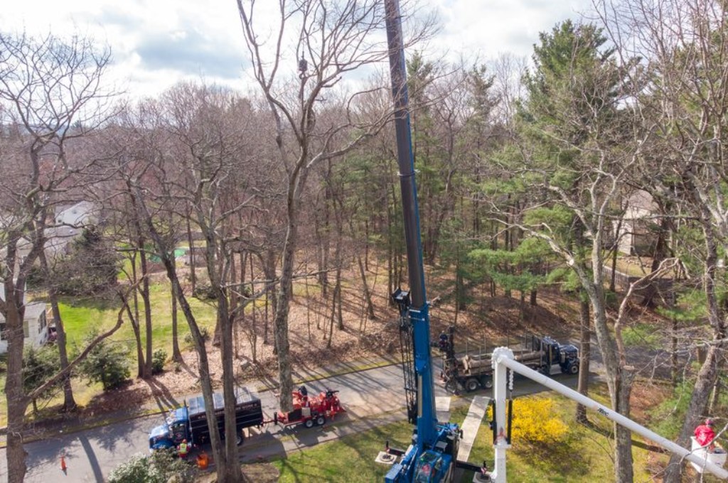 Crane Tree Removal: When You Need It and What to Expect An aerial view looking down from near the top of a blue crane boom, showing the crane truck, a red wood chipper, and a log truck parked along a residential street, with a crew member visible in safety gear on the crane.