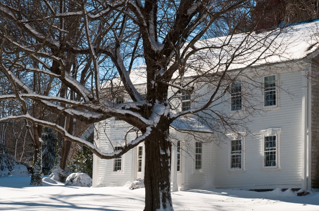 Is My Tree Dead or Dormant? How to Tell the Difference A white colonial home surrounded by bare deciduous trees in winter with clear blue sky in the background.