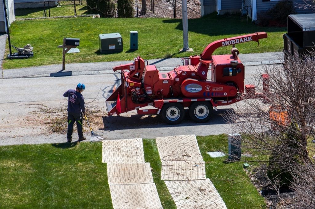 An American Climbers team member rakes up leaves from tree work near the wood chipper where branches are turned into wood mulch