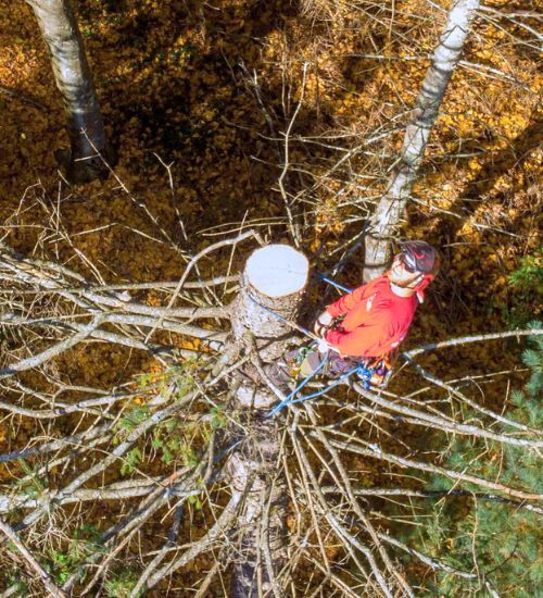 Ac-home-testimonial-image-red-shirt-crew