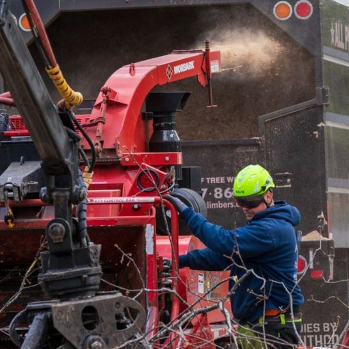 American climbers crew member in a hi-vis helmet feeding brush into a morbark wood chipper attached to a branded chip truck