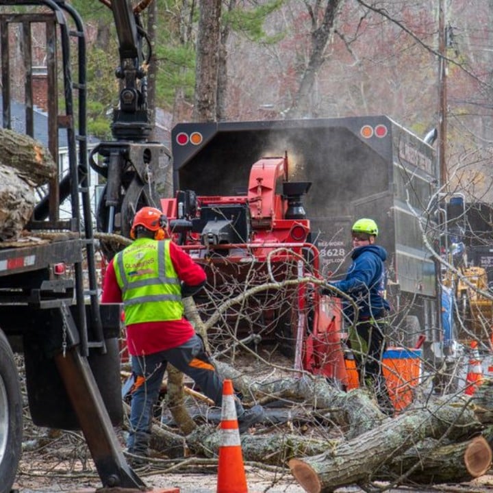 American climbers crew clearing and chipping a large downed tree after a storm in hopkinton, ma, with safety cones set up around the work zone
