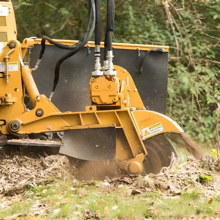 Close-up of an american climbers stump grinder reducing a tree stump below grade, with wood chips spraying out