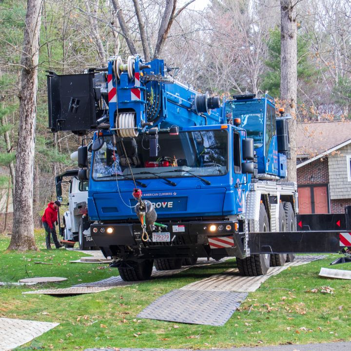 AC-local-pages-ashland-tree-removal-1-min