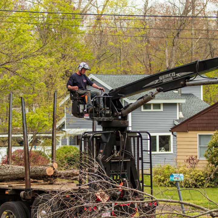 AC-local-pages-southborough-tree-removal-2