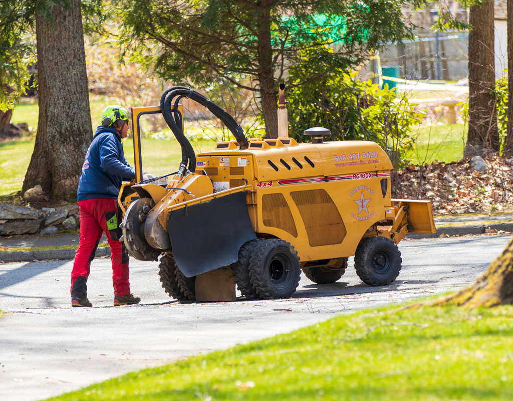 An American Climbers employee moves a stump grinder across a property in the Hopkinton, MA area