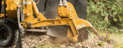 A stump grinder cuts through a tree stump