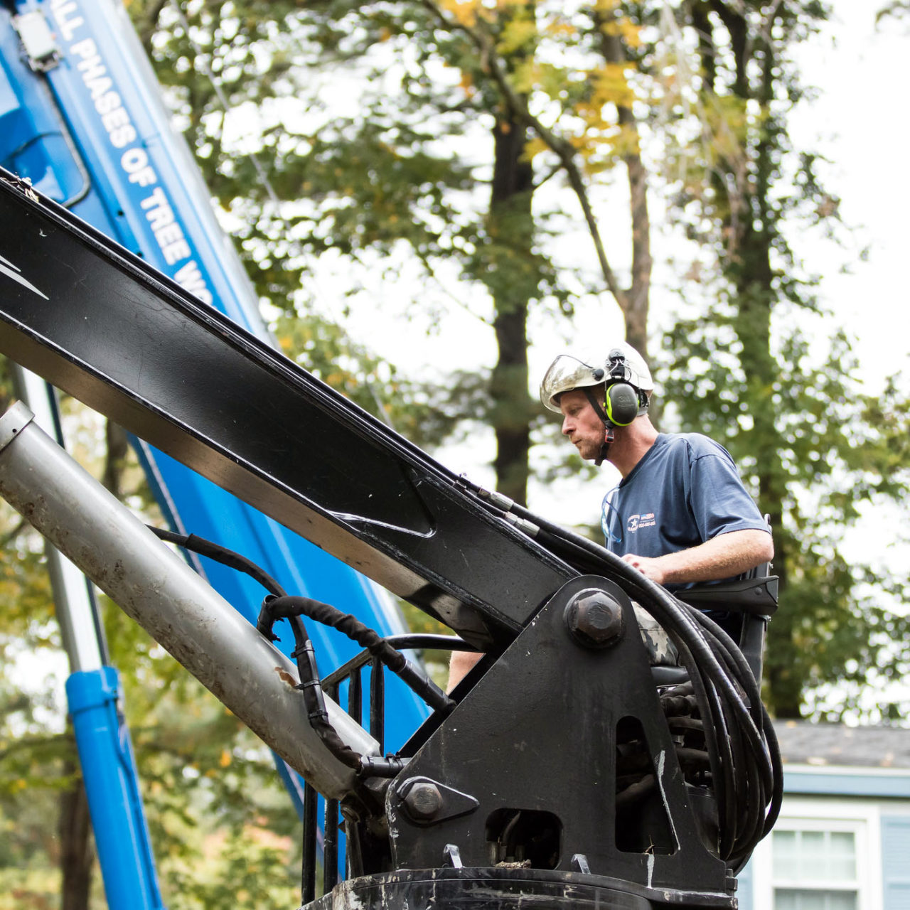 Meet the American Climbers Tree Service Team Serving Central
