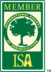 ISA-Member-Logo