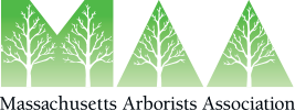 Massachusetts Arborists Association logo