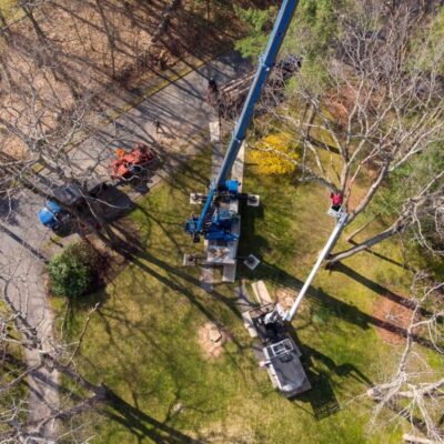 Overhead view of American Climbers tree crew pruning a large tree.