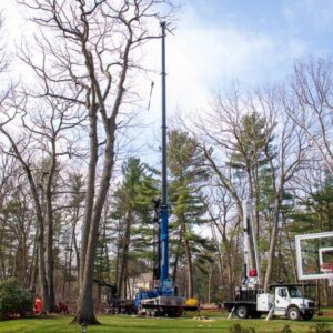 A wide view of a residential yard showing a blue truck-mounted crane extended high above the tree line, with a log truck and chipper positioned nearby and crew members working on the ground, with a basketball hoop visible in the foreground.
